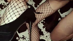 Homemade Amateur Compilation with Anal from 36 Years Couple