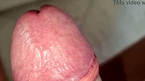 A Casa Da Solo: Home Alone with Huge Cock Christmas Cumshot