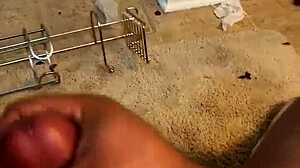 Horny Cock Craves Action