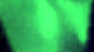 The Wife Fucks In Lingerie For Cuckold Husband 😏