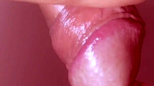 Japanese stepsister gives uncensored blowjob