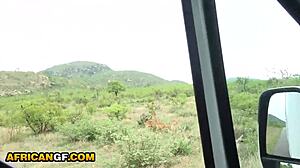 African Girlfriend Delivers Intense Sloppy Road Head Throat Fuck At Safari