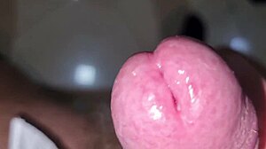 ansima e geme, cazzo enorme, sborra... apri bocca e bevi sperma