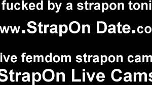 Do you want to make sure my big fat strapon is properly lubed for you?