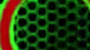 Lesbian milfs like Sara Jay, want to join?