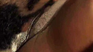 pussy licking and ass fucking scene