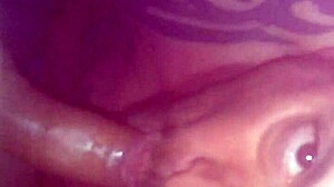 Chatting about shemale with big cock