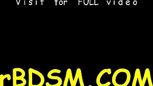 spreading open slaves slit with toys and blowjob, feeling the hardcore bdsm