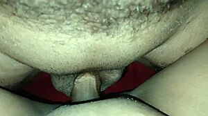 Is that Indian hot stepsister tempting you?