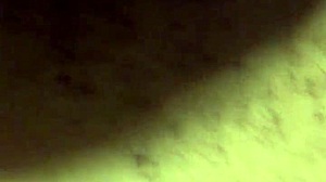 Kingdinglong Receives Big Black Cock Gumjob From Mature White Cougar