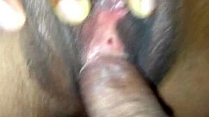 Pretty virgin gets tight pussy creampied
