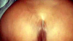 big booty bbw enjoys a casual encounter