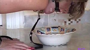 fetisch-concept com - selfbondage and masturbation session