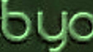 Marley and Kylie licking each other.