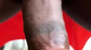 Big cock stepson with mom on holiday