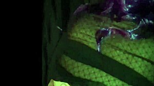 Easy Money Anal Doggy Fucking Old Dude Roughly