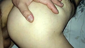 Wife moans loudly while getting fucked in stockings.