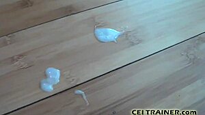 You can be our new bisexual boy toy