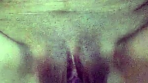 India Zorra in Indian Context