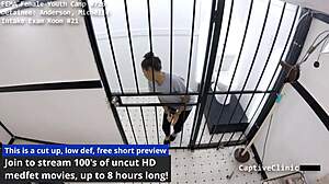 Fema camps - Michelle Anderson