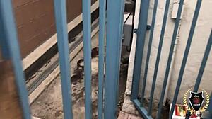 rome major: 'deepthroat my monster cock, sexy milf'