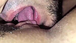 Chupou Minha Buceta Gg Levou Uma Mamada No Pau