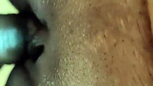 Clean Shaved Big Pussy Suni!