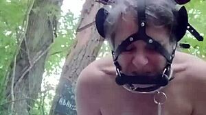 2024 09 04 Otrokyňa F Ponygirl V Lesi Doggystyle Orgazmus