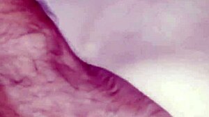 Wife's Homemade Anal Leaves Holes Gaped And Stockings Torn