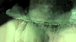 Dark Lantern Entertainment Presents Sins Of Step Mothers