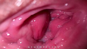 porn model gigiOficial shares her wet pussy and ass adventures