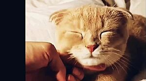 check out my youtube channel make69