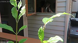 nikki gets fucked from behind