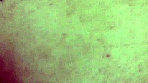 culiando bareback transexual tiffafny shery en 4 en sofa sherytiffany