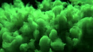 Blogueira Safada Gives Pussy To Air Conditioner Technician And Cums On Black Dick