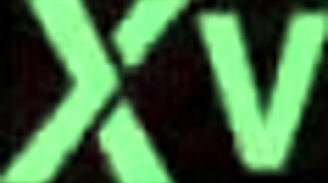 starting a new job with crossdressing elements.