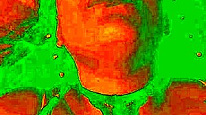 look at bluee's horny face as her pussy gets licked!