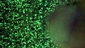 Intense Solo Masturbation Session with Vigorous Stroking