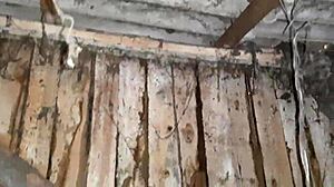 Lesbian Illusion Girls Share Autumn Romantic Sex In Hut With Hairy Pussy Masturbation And Orgasms