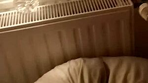 french round ass in doggy style