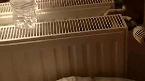 french round ass in doggy style