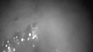 Anal Amateur Sex Session