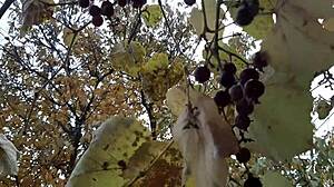 our autumn romantic sex in a hut - lesbian illusion girls with passionate pussy, cum, orgasm, brunette pov, masturbation