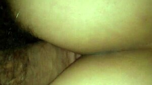 Solangie Caliente in Shemale Action