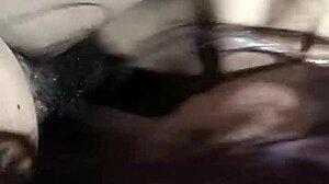 Mature Prostitute Sucks Young Guy's Dick With Bold Intensity