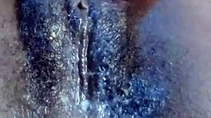 Why is Stacy7 showing off her big fat juicy pussy lips like that on webcam?