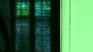 Aaliyah Love cries as intruder fucks her cunt hard