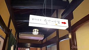 Sakura Hot Springs With Nacchi