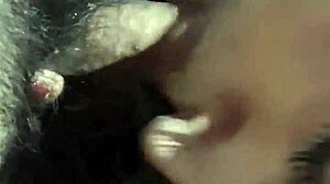 Mature Prostitute Sucks Young Guy's Dick With Bold Intensity