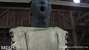 The cutie gets dominated and sucks cock in bdsm scene